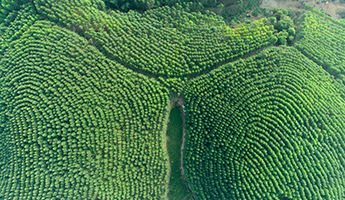 1277�Ǽʵ���(�й���)�ٷ���Ϸ��ַ