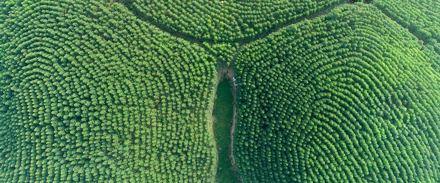 1277�Ǽʵ���(�й���)�ٷ���Ϸ��ַ