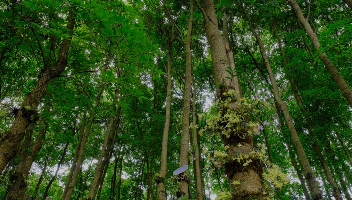 1277�Ǽʵ���(�й���)�ٷ���Ϸ��ַ