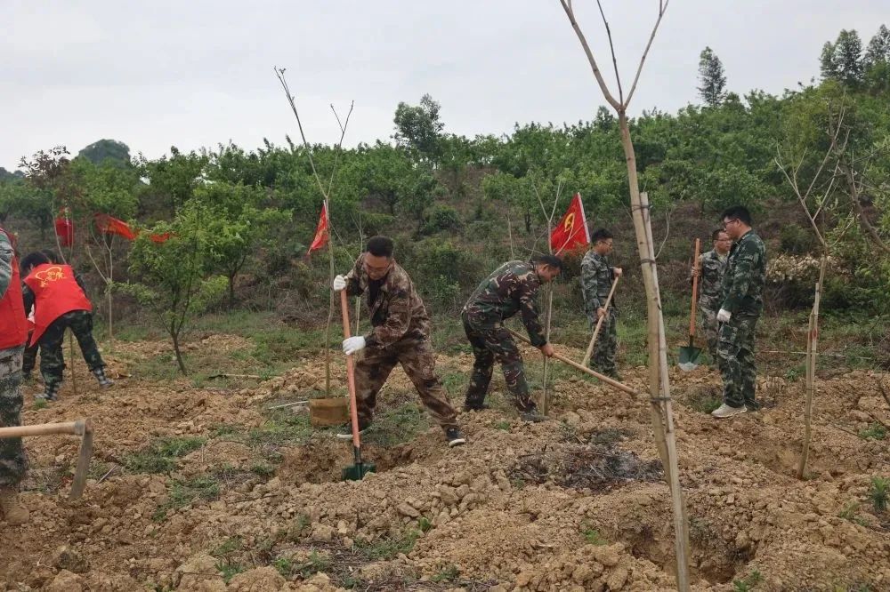 1277�Ǽʵ���(�й���)�ٷ���Ϸ��ַ