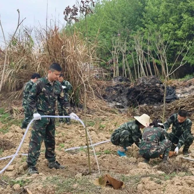 1277�Ǽʵ���(�й���)�ٷ���Ϸ��ַ