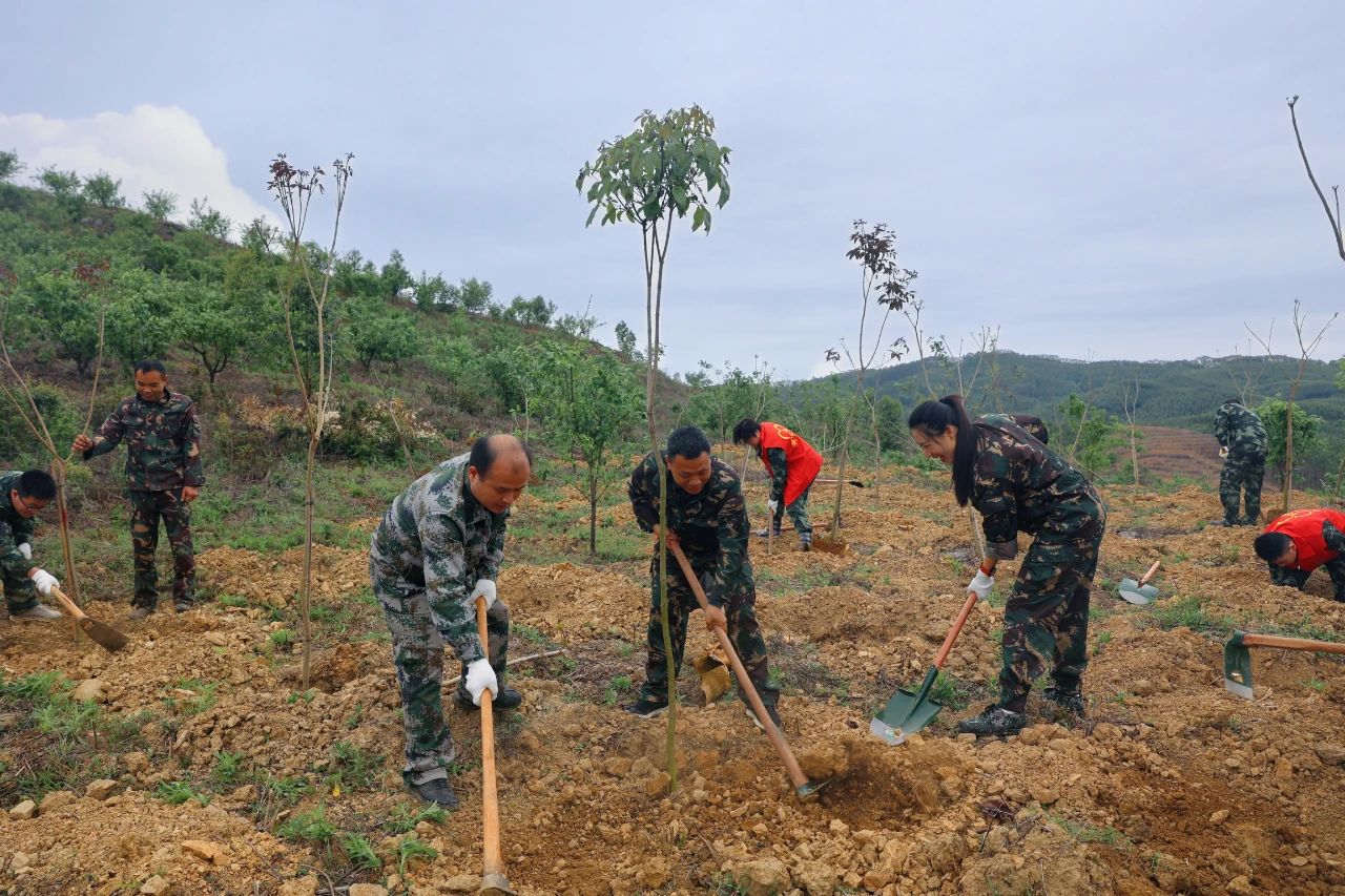 1277�Ǽʵ���(�й���)�ٷ���Ϸ��ַ