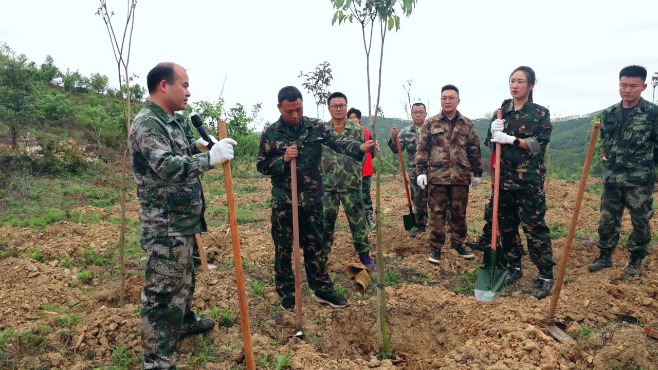 1277�Ǽʵ���(�й���)�ٷ���Ϸ��ַ