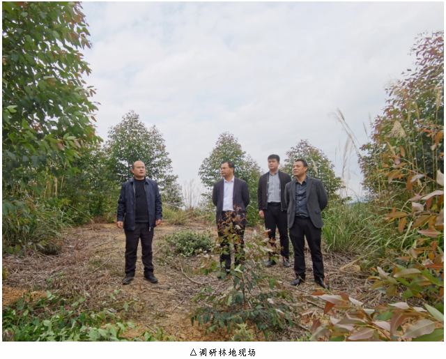 1277�Ǽʵ���(�й���)�ٷ���Ϸ��ַ