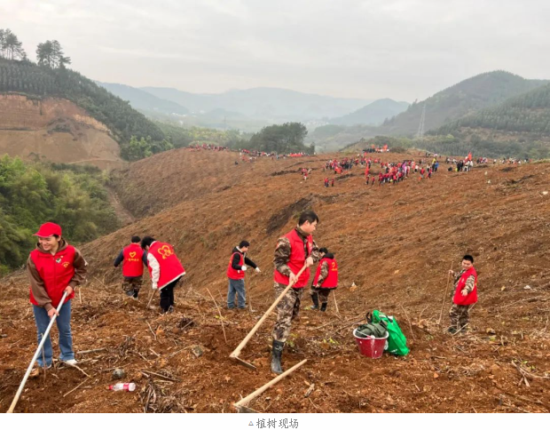 1277�Ǽʵ���(�й���)�ٷ���Ϸ��ַ