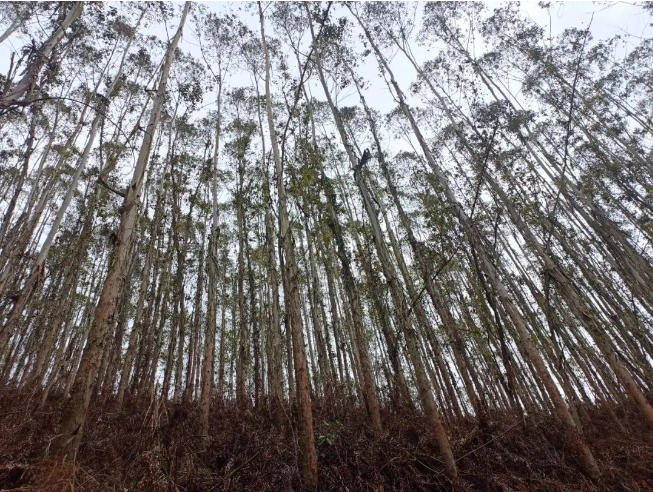 20240326190202627 1277星际电子(中国游)官方游戏网址