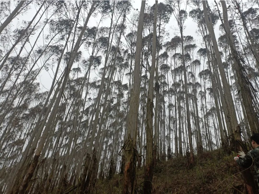 20240417174330966 1277星际电子(中国游)官方游戏网址