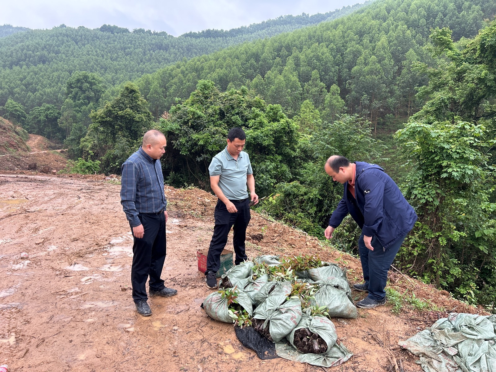 1277�Ǽʵ���(�й���)�ٷ���Ϸ��ַ