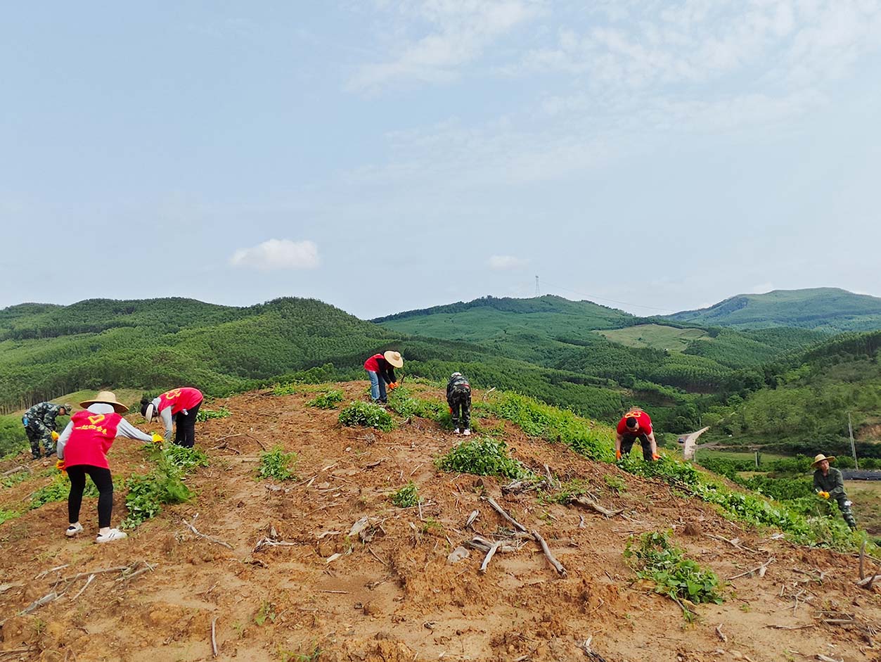 1277�Ǽʵ���(�й���)�ٷ���Ϸ��ַ