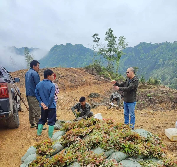 1277�Ǽʵ���(�й���)�ٷ���Ϸ��ַ