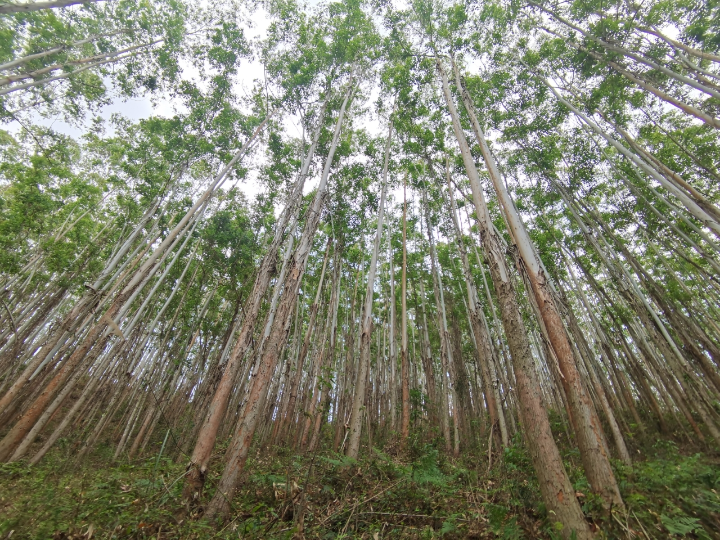 1277�Ǽʵ���(�й���)�ٷ���Ϸ��ַ