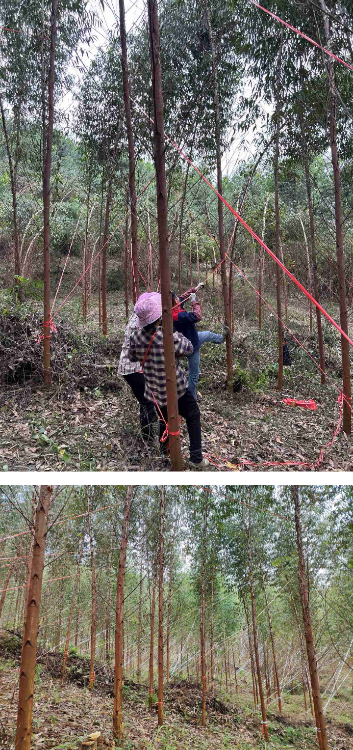 1277�Ǽʵ���(�й���)�ٷ���Ϸ��ַ