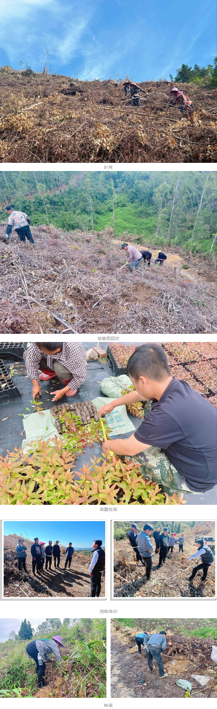 1277�Ǽʵ���(�й���)�ٷ���Ϸ��ַ