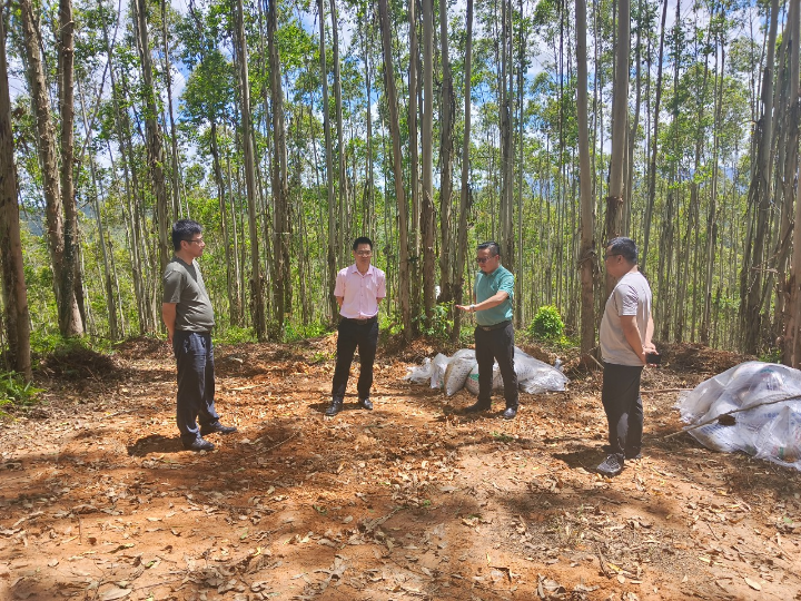 1277�Ǽʵ���(�й���)�ٷ���Ϸ��ַ