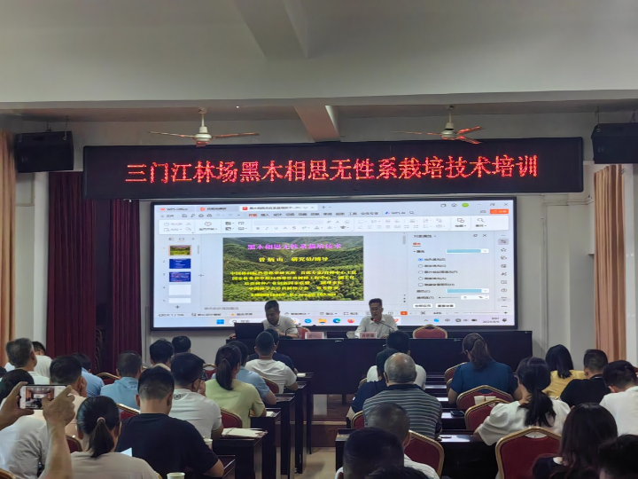 1277�Ǽʵ���(�й���)�ٷ���Ϸ��ַ