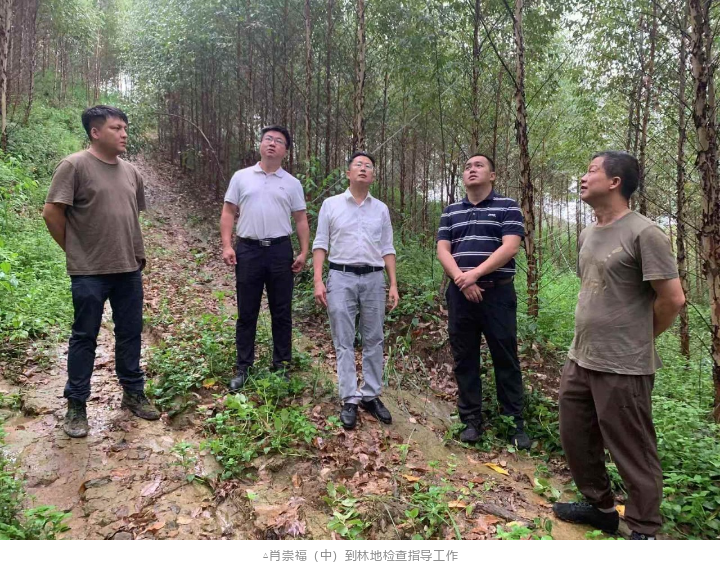 20240814175328213 1277星际电子(中国游)官方游戏网址