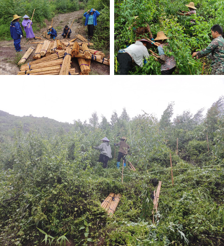 1277�Ǽʵ���(�й���)�ٷ���Ϸ��ַ