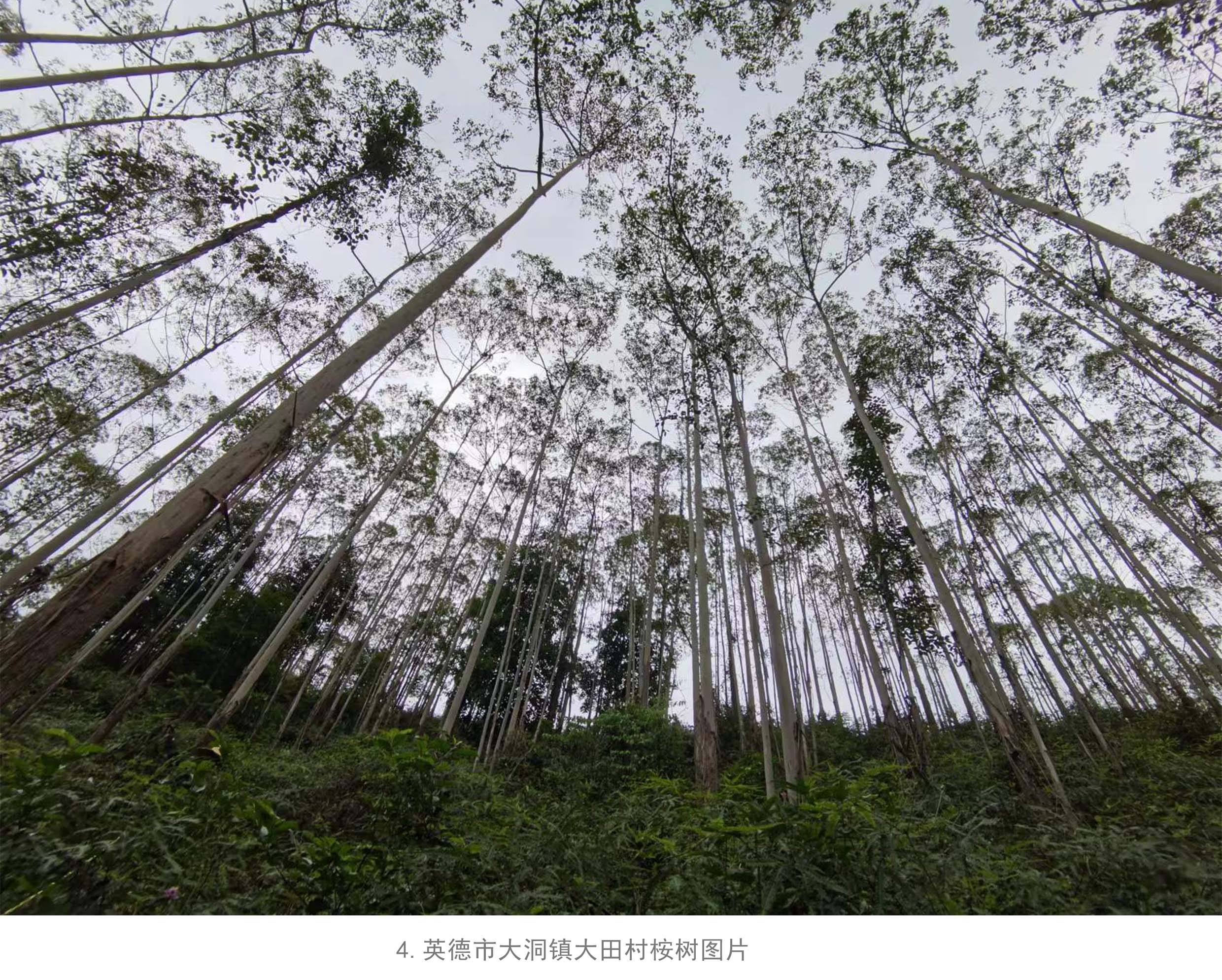 1277�Ǽʵ���(�й���)�ٷ���Ϸ��ַ