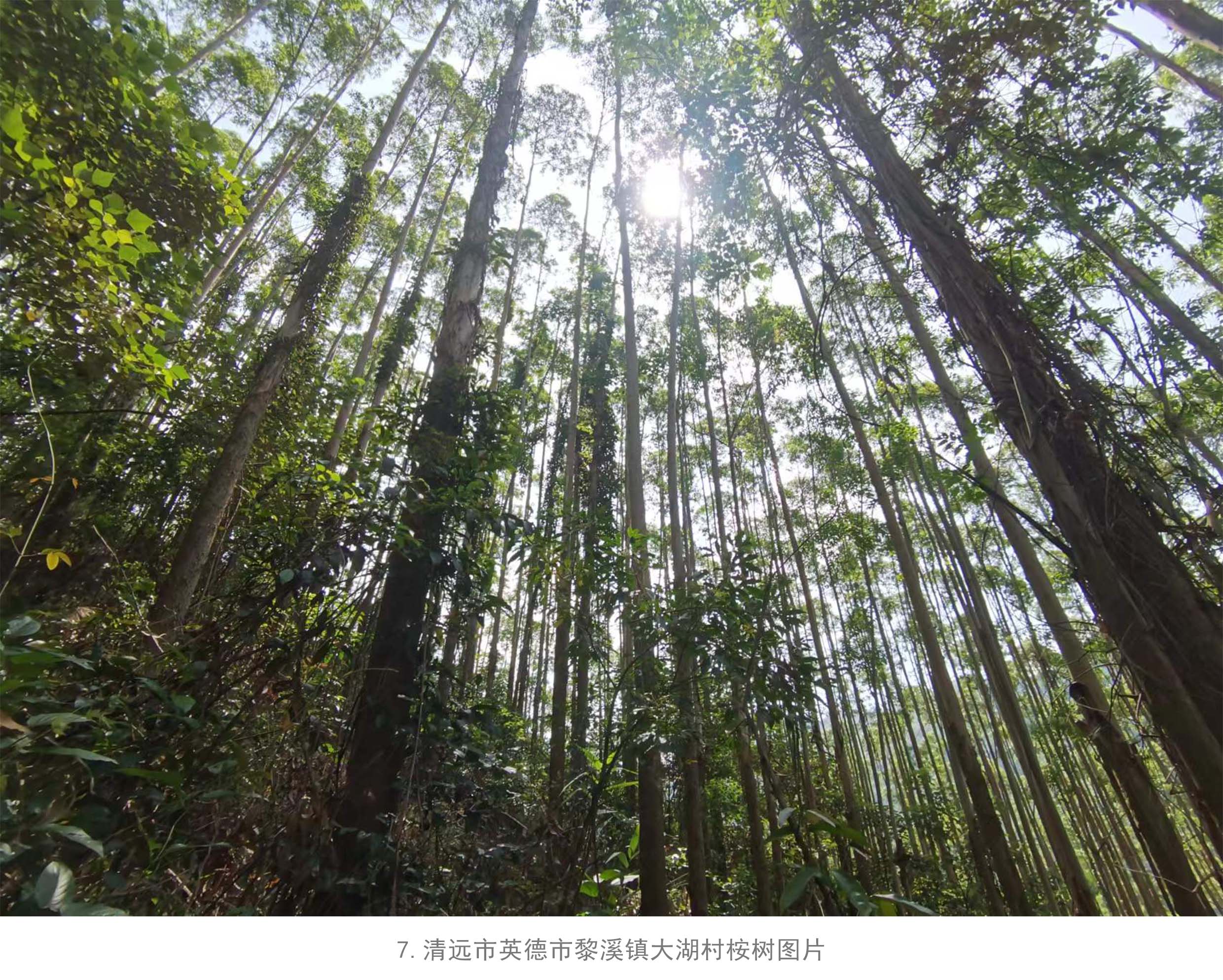 1277�Ǽʵ���(�й���)�ٷ���Ϸ��ַ