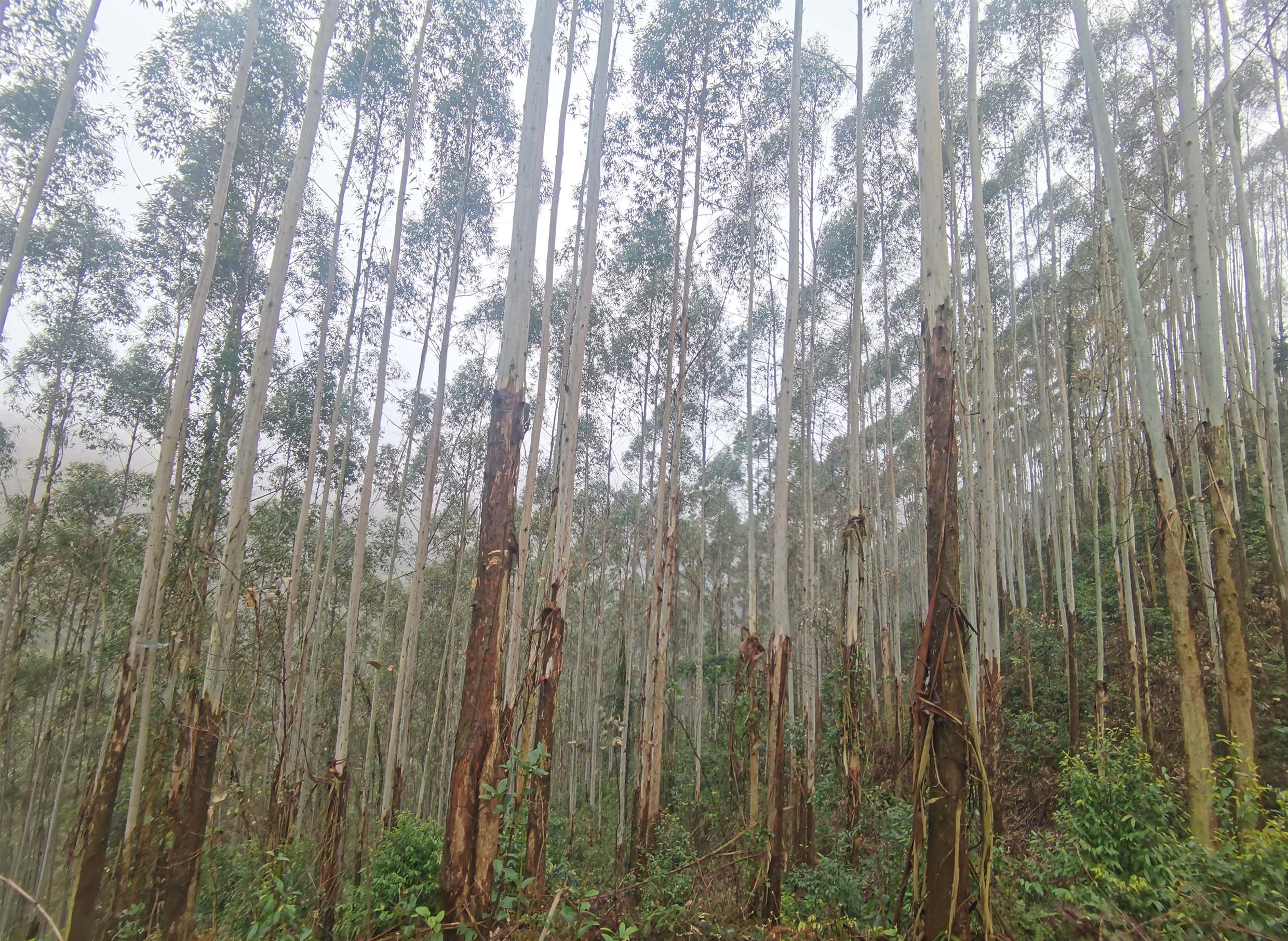 20240923180228800 1277星际电子(中国游)官方游戏网址