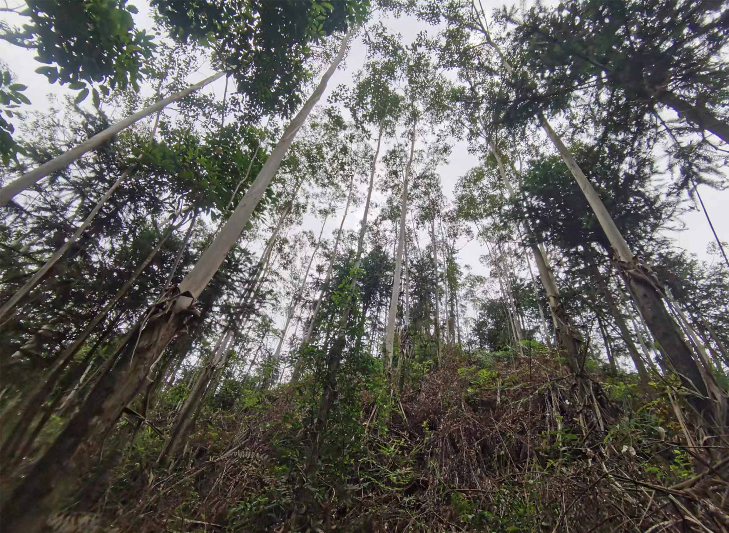 1277�Ǽʵ���(�й���)�ٷ���Ϸ��ַ