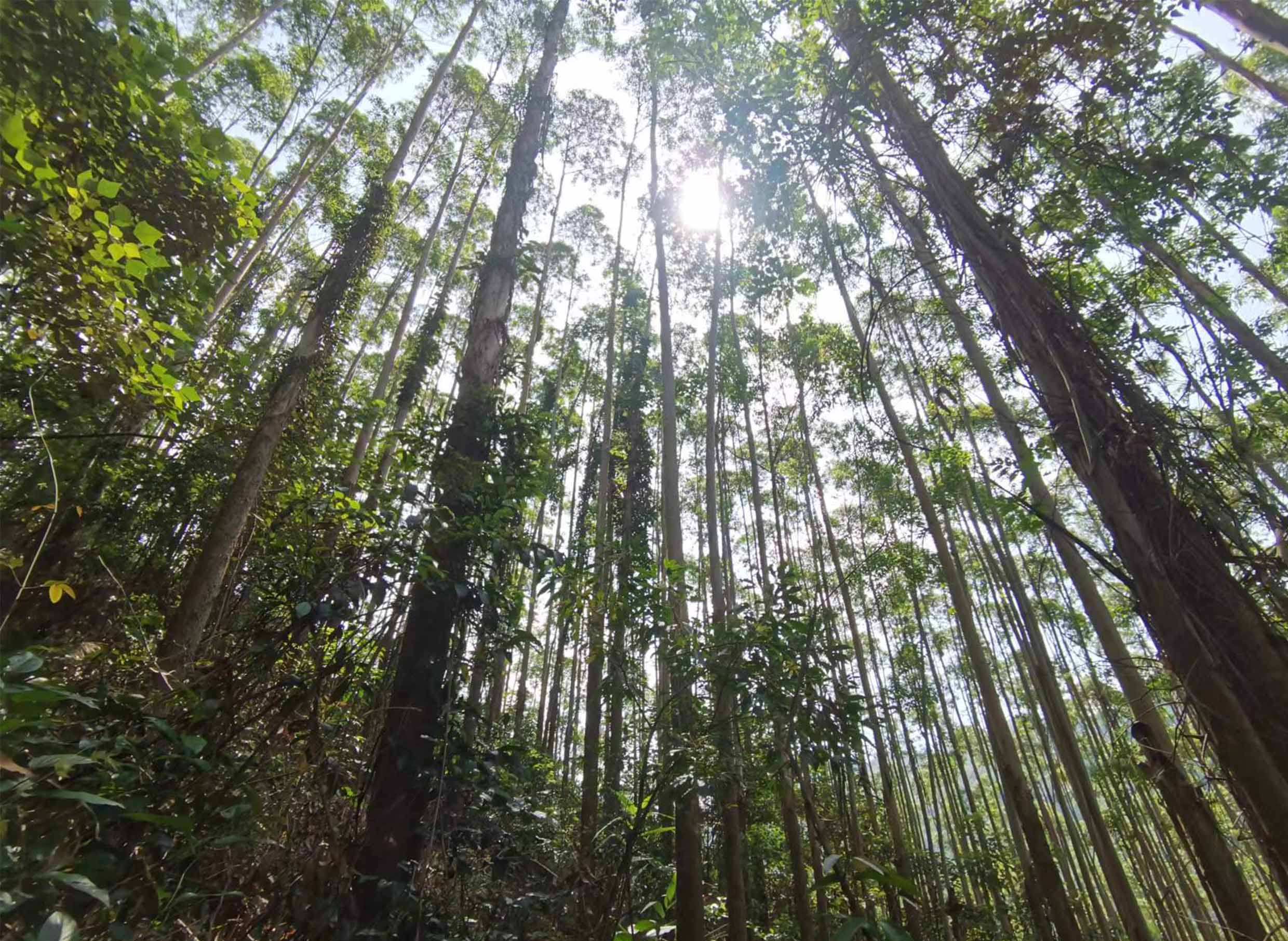 20240923180648443 1277星际电子(中国游)官方游戏网址