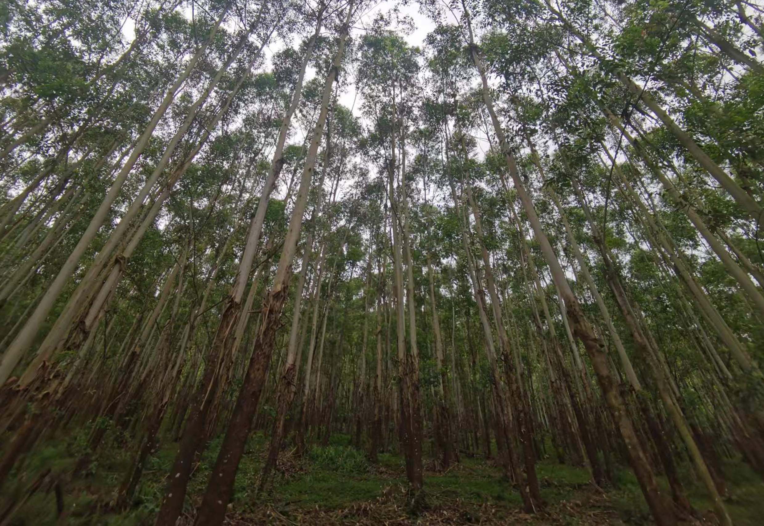 1277�Ǽʵ���(�й���)�ٷ���Ϸ��ַ