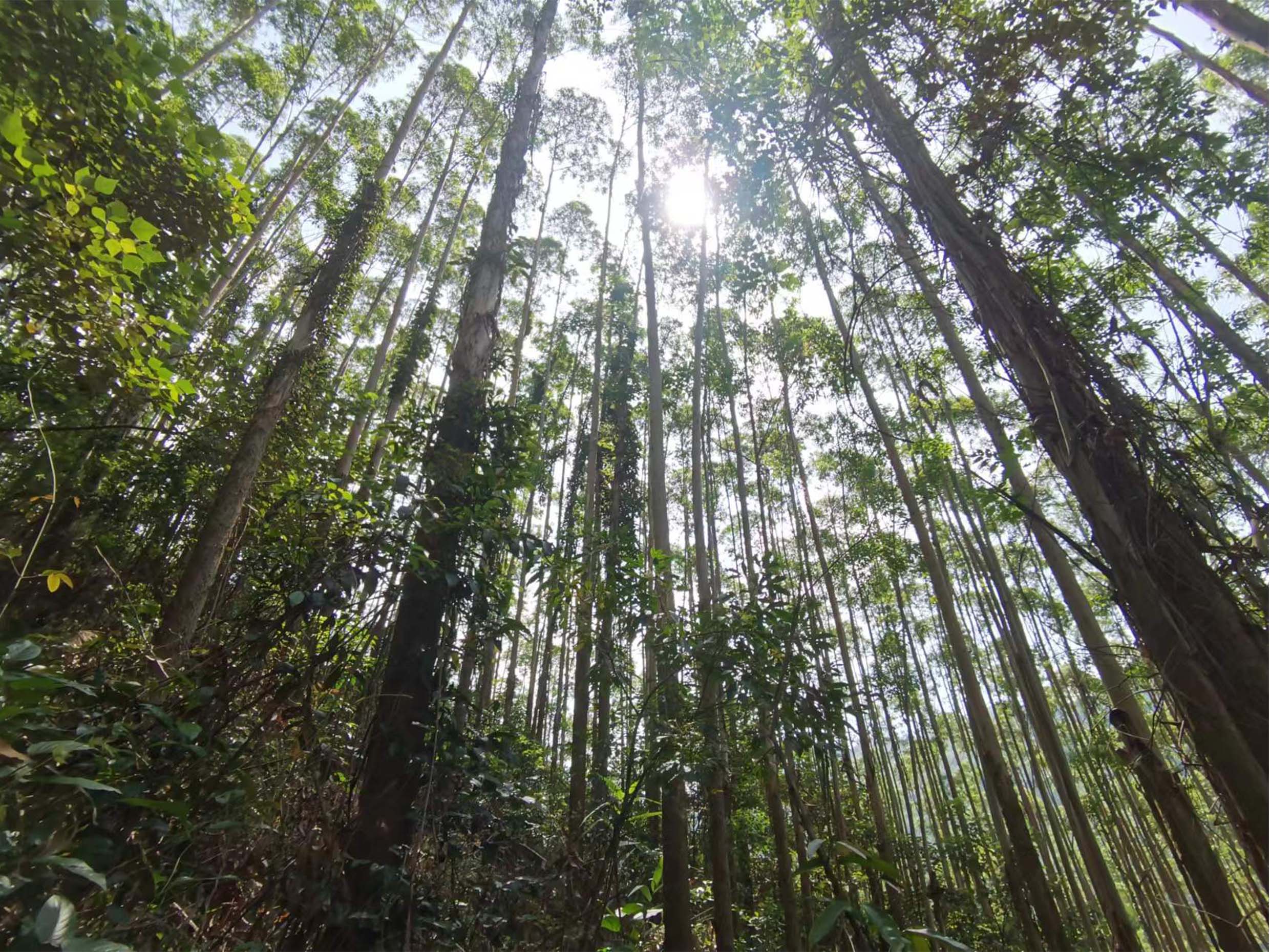 1277�Ǽʵ���(�й���)�ٷ���Ϸ��ַ