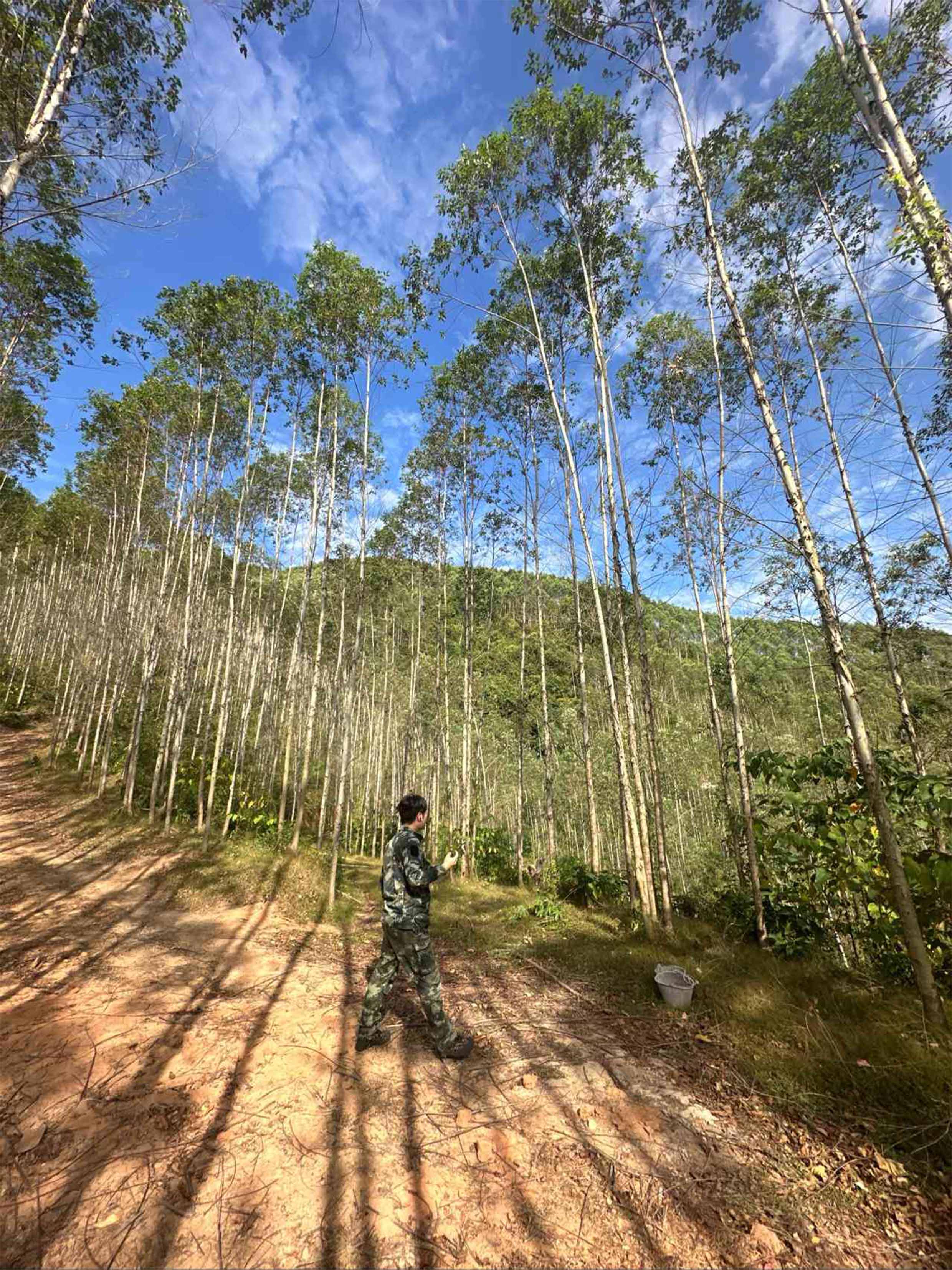 1277�Ǽʵ���(�й���)�ٷ���Ϸ��ַ