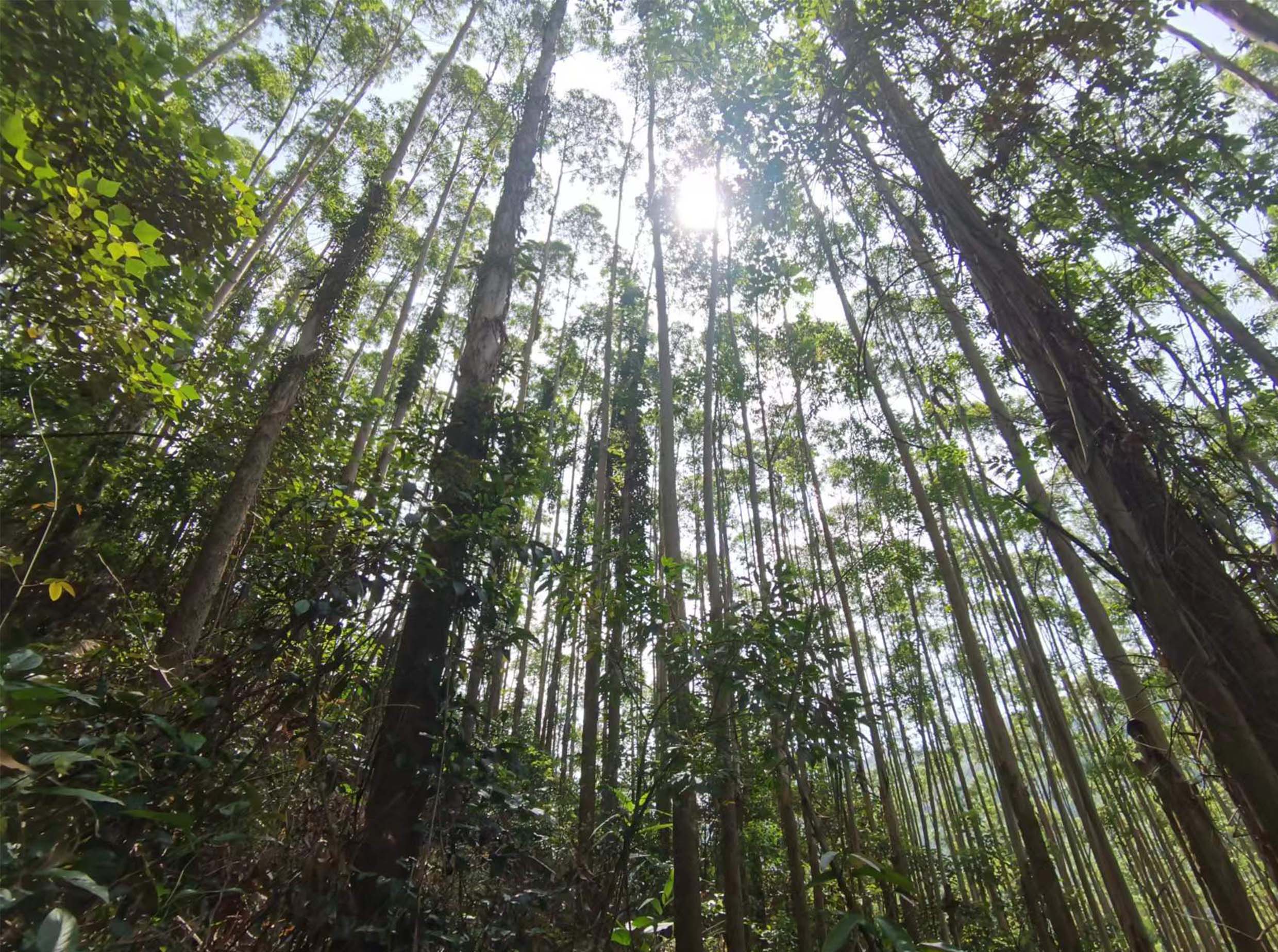 1277�Ǽʵ���(�й���)�ٷ���Ϸ��ַ