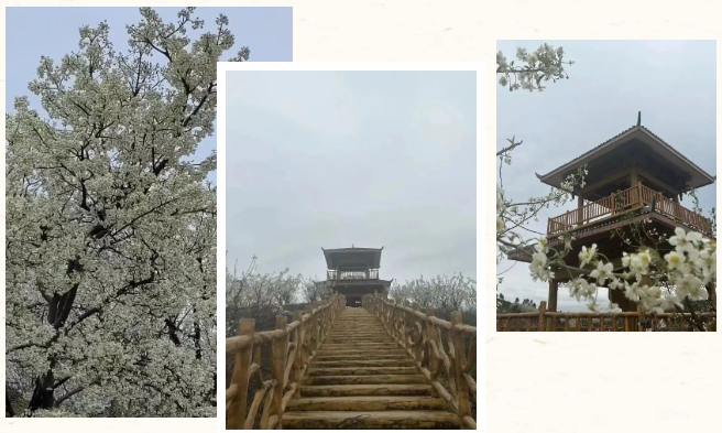 1277�Ǽʵ���(�й���)�ٷ���Ϸ��ַ