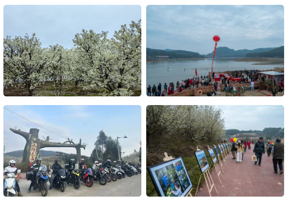 1277�Ǽʵ���(�й���)�ٷ���Ϸ��ַ