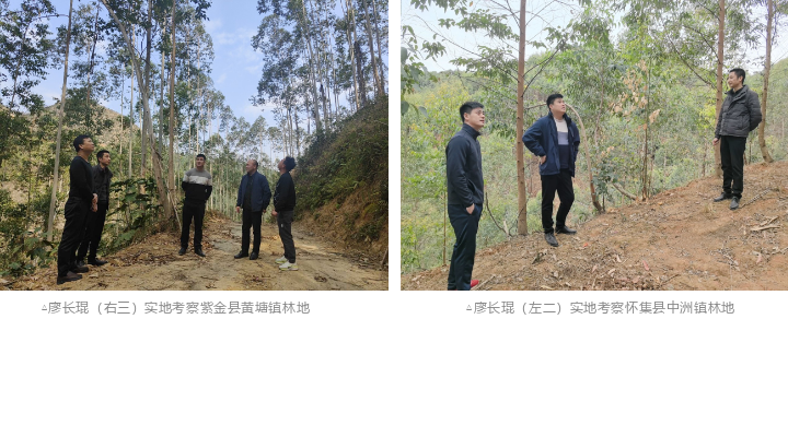 1277�Ǽʵ���(�й���)�ٷ���Ϸ��ַ