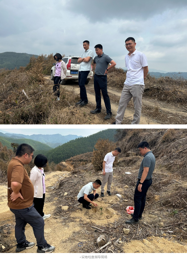 1277�Ǽʵ���(�й���)�ٷ���Ϸ��ַ