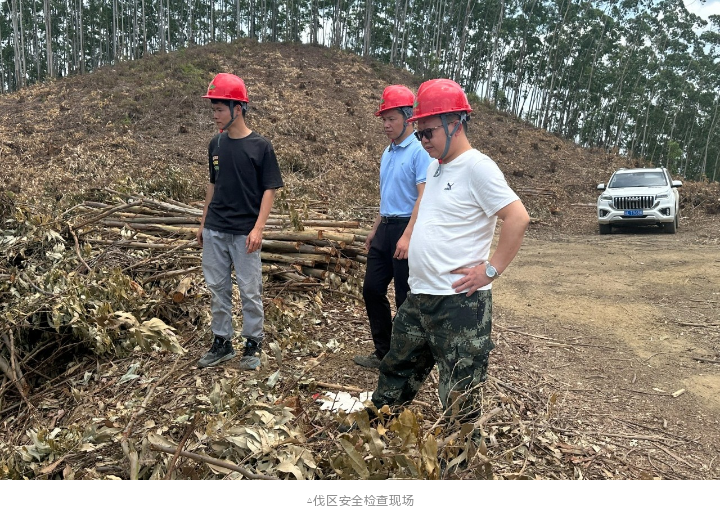 20250428094428753 1277星际电子(中国游)官方游戏网址