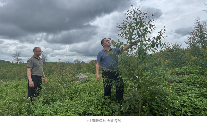 1277�Ǽʵ���(�й���)�ٷ���Ϸ��ַ