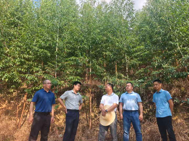 1277�Ǽʵ���(�й���)�ٷ���Ϸ��ַ