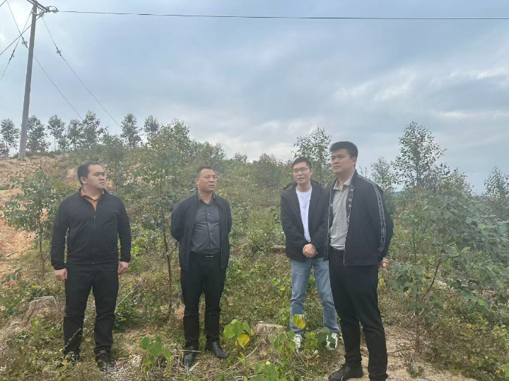 20251212094500619 1277星际电子(中国游)官方游戏网址