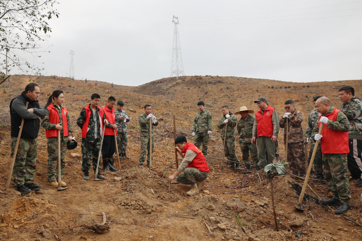 1277�Ǽʵ���(�й���)�ٷ���Ϸ��ַ