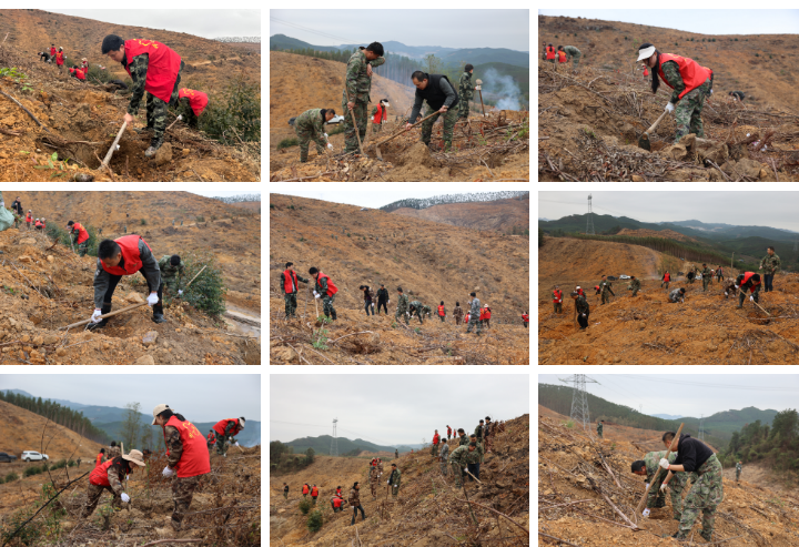 1277�Ǽʵ���(�й���)�ٷ���Ϸ��ַ