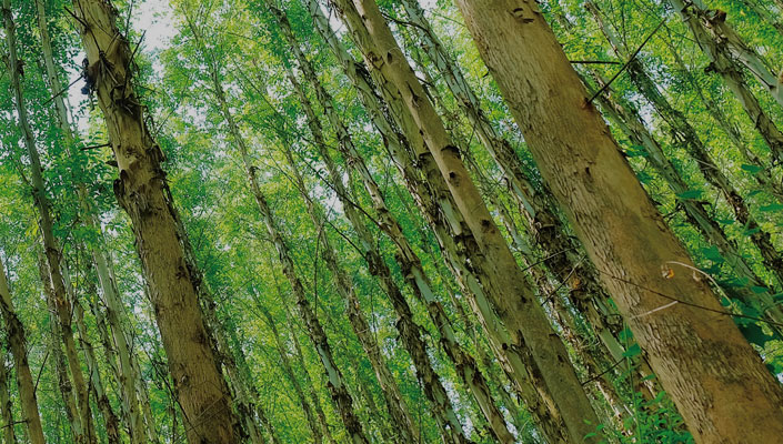 1277�Ǽʵ���(�й���)�ٷ���Ϸ��ַ