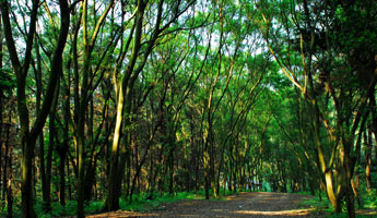 1277�Ǽʵ���(�й���)�ٷ���Ϸ��ַ