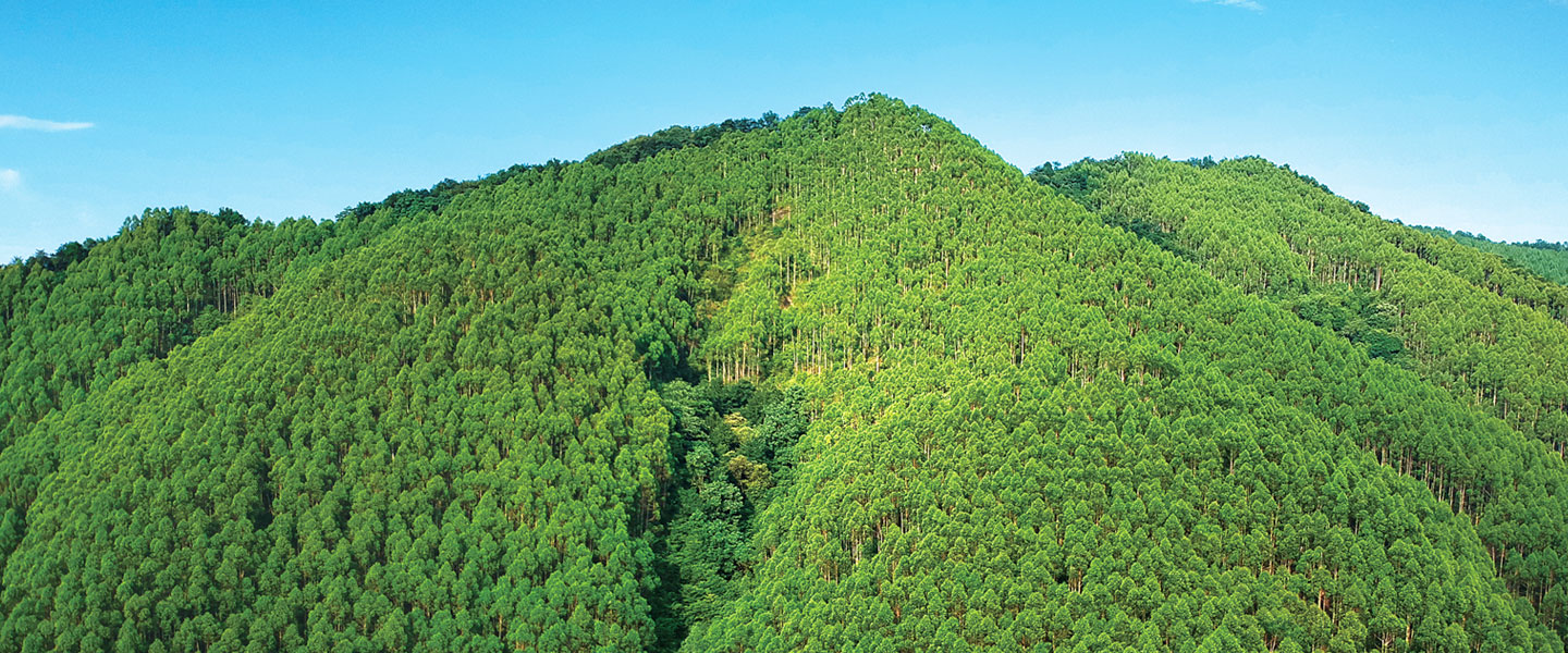 1277�Ǽʵ���(�й���)�ٷ���Ϸ��ַ