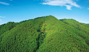 1277�Ǽʵ���(�й���)�ٷ���Ϸ��ַ