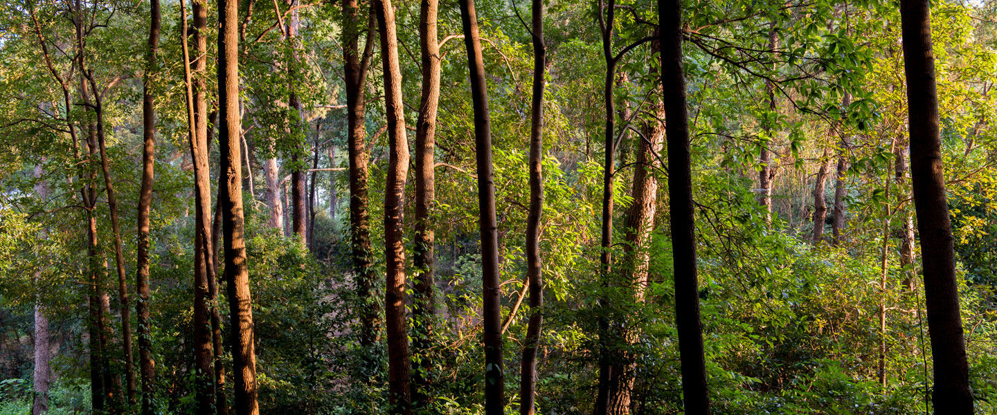 1277�Ǽʵ���(�й���)�ٷ���Ϸ��ַ